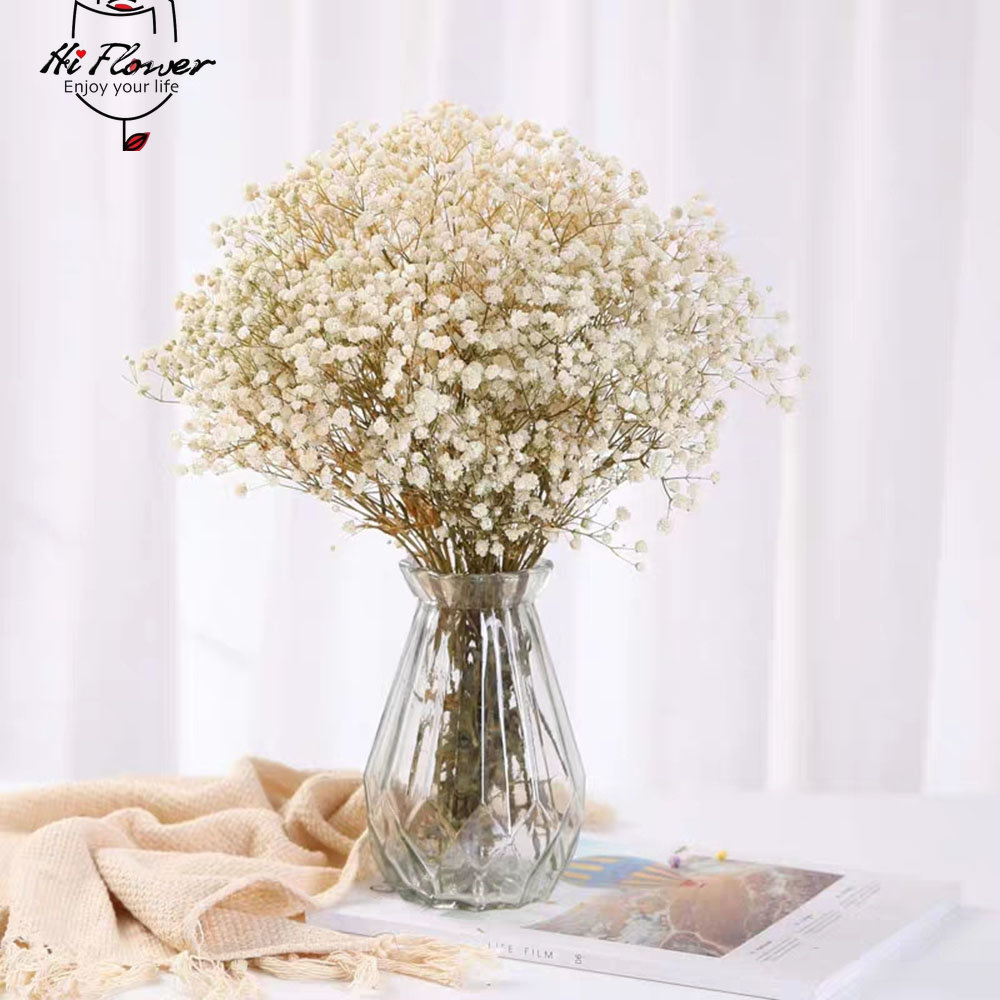 Fleurs séchées naturelles cons - Dried Flower Bulk avis et prix