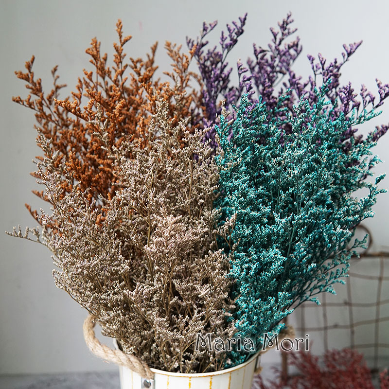 50g/Herbe de la Saint-Valentin - Dried Flower Bulk avis et prix