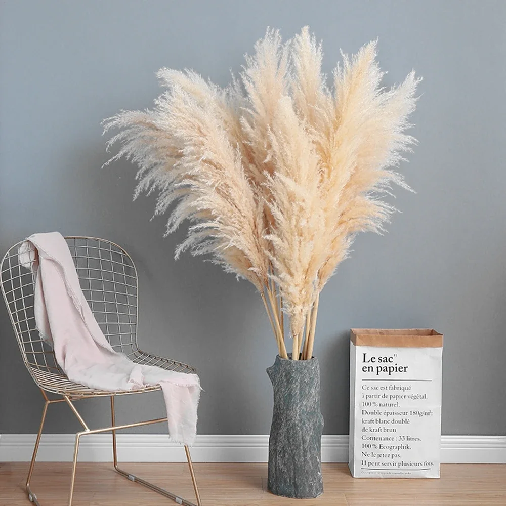 Grand Bouquet de Fleurs vaccée - Dried Flower Bulk avis et prix