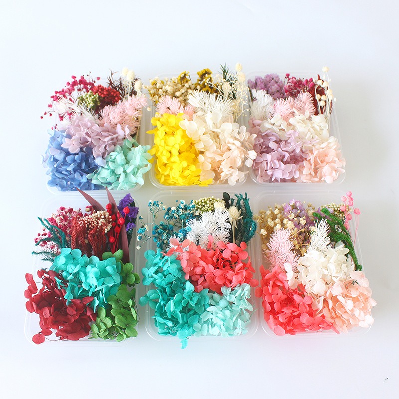 Kit de bricolage pour fleurs p - Flower Preservation Resin avis et prix