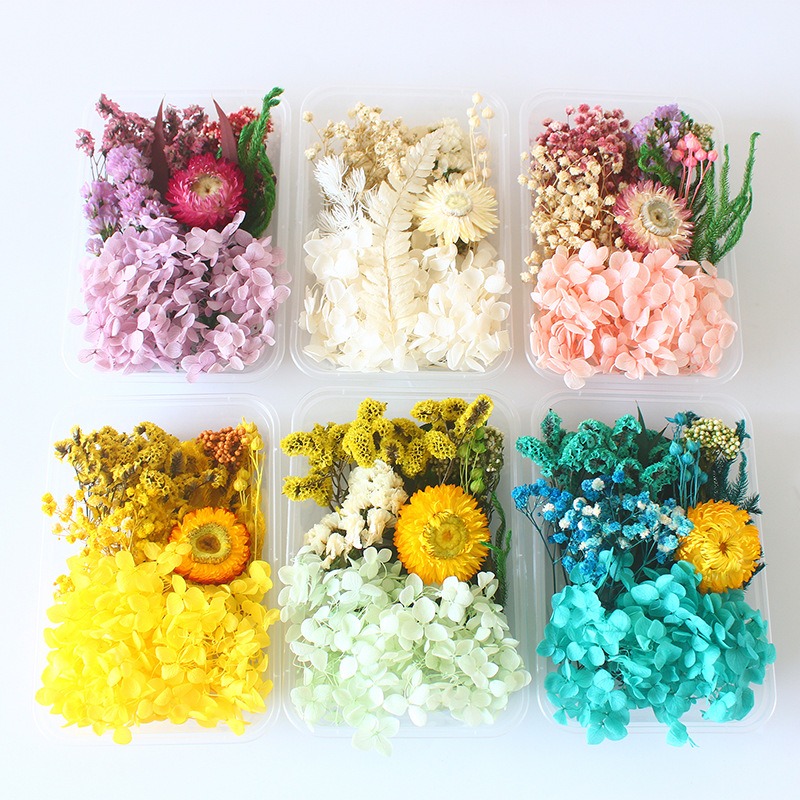 Kit de bricolage pour fleurs p - Flower Preservation Resin avis et prix
