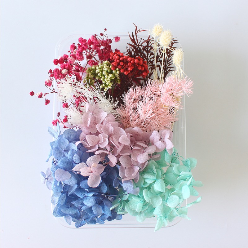 Kit de bricolage pour fleurs p - Flower Preservation Resin avis et prix