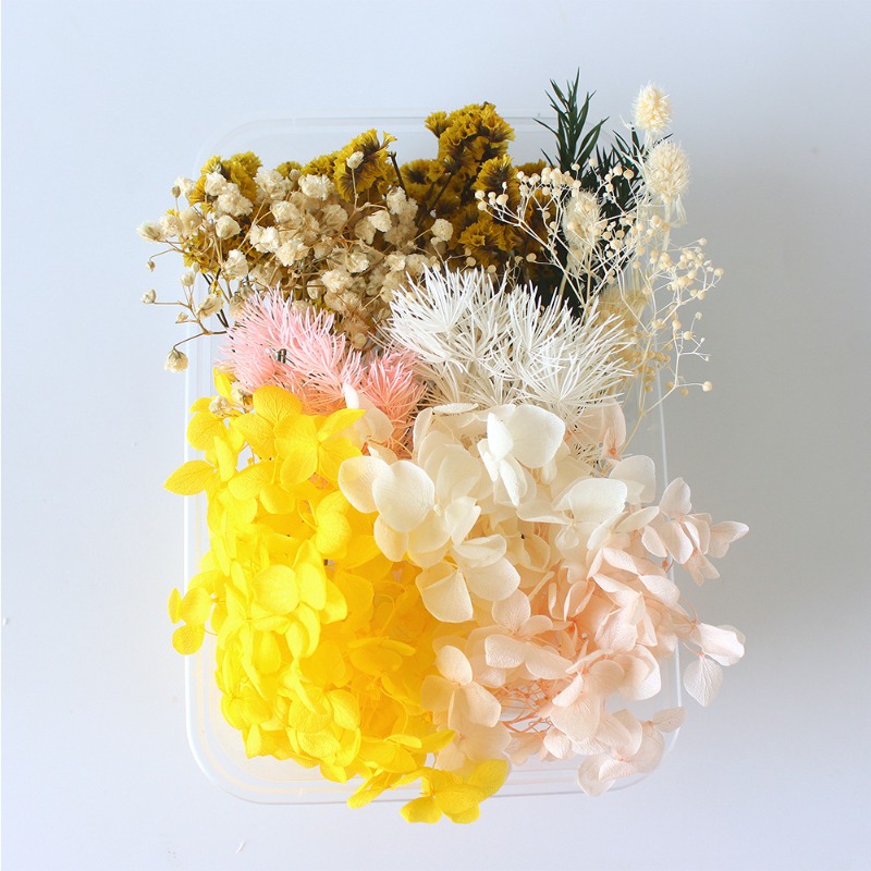 Kit de bricolage pour fleurs p - Flower Preservation Resin avis et prix
