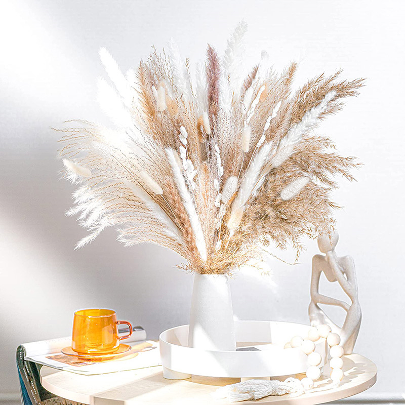 Bouquet de Pampas vaccées Natu - Dried Flower Bulk avis et prix