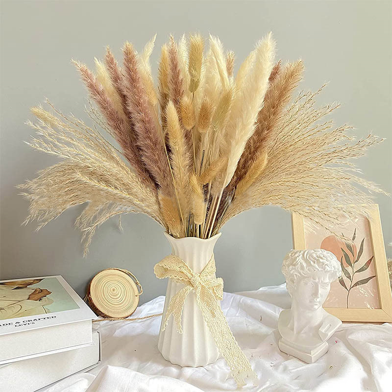 Bouquet de Pampas vaccées Natu - Dried Flower Bulk avis et prix